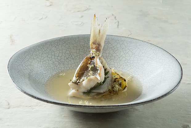 ShounRyuGin-ASIA-2019-DISH1